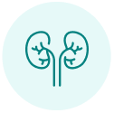 Creatinine Cleranace Calculator